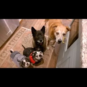 Meet your Posher, Saki